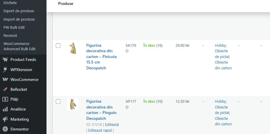 Creare magazin online in Wordpress / Wocoommerce